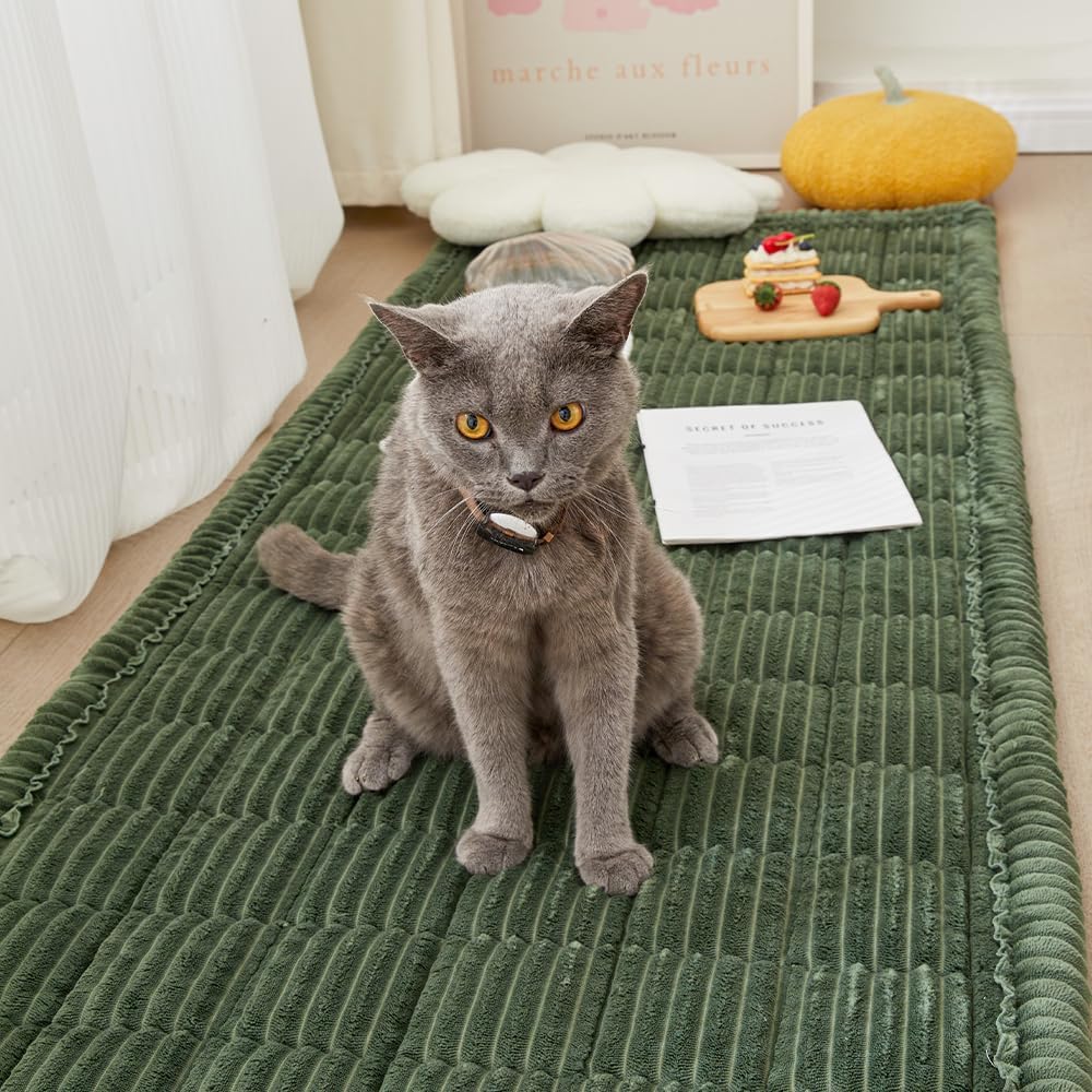 Couch Cover for Dogs Washable, Fuzzy Pet Couch Covers for 3 Cushion Sofa Pet Friendly, Non Slip Sofa Cover (Green, 27.6" x 82.7"/70 x 210cm)