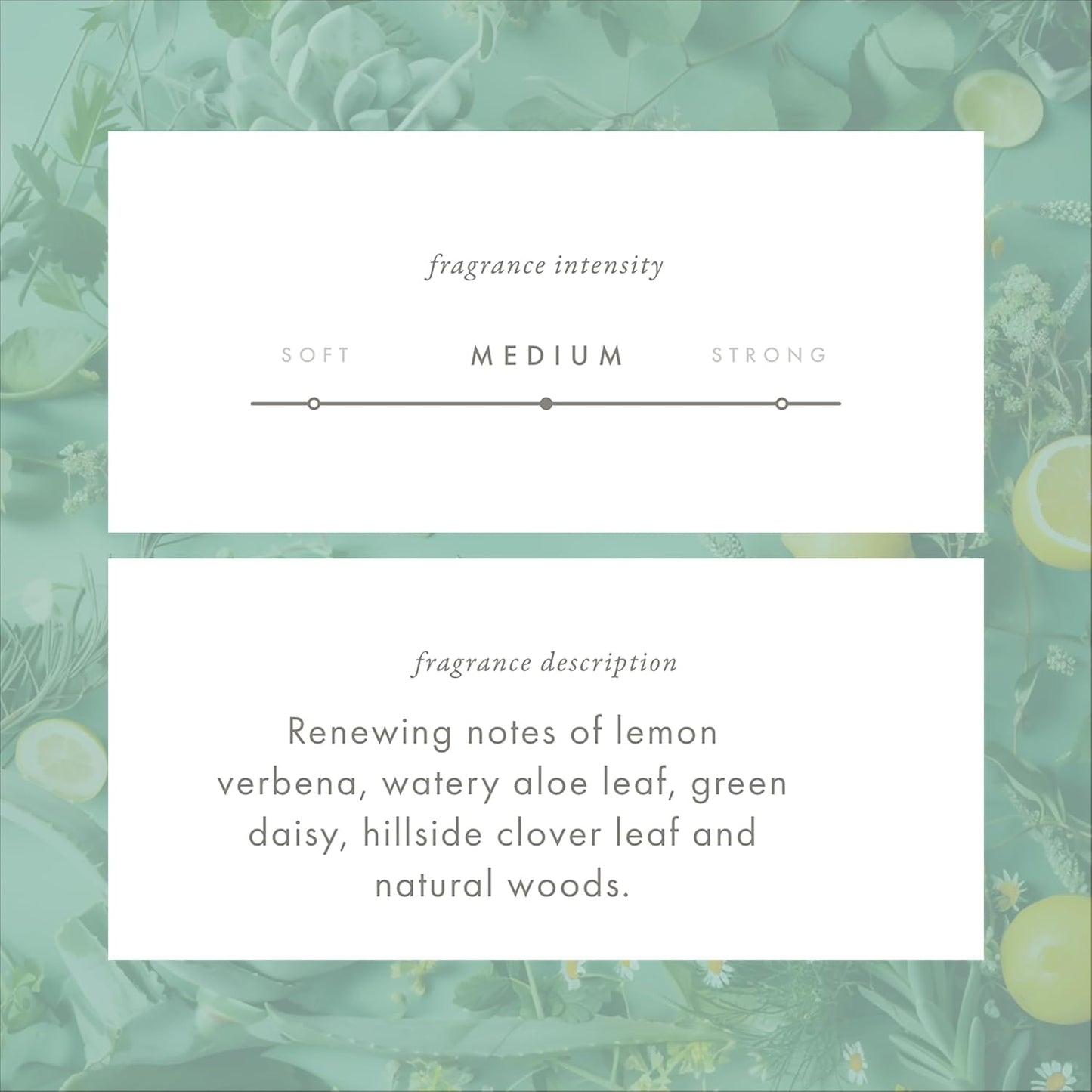 ScentAir Whisper Home Monthly Plug-in Refill, Fragrance Cartridge for Home and Office, Green Clover & Aloe