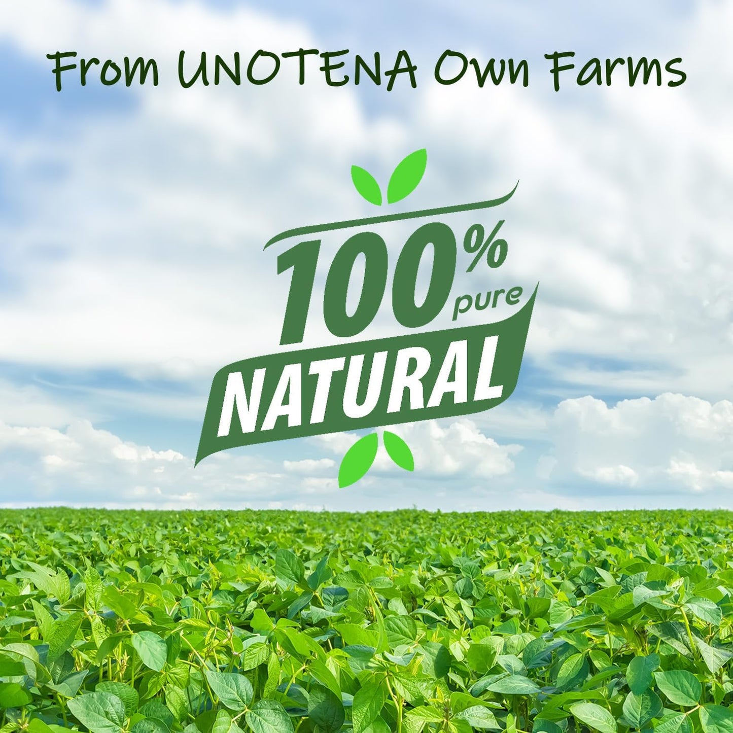 UNOTENA Soy Wax Flakes, Natural Candle Wax, Organic Soy Wax for Candle Making from Farm, No Additives, Harmless and Pure [ 20LBS ]