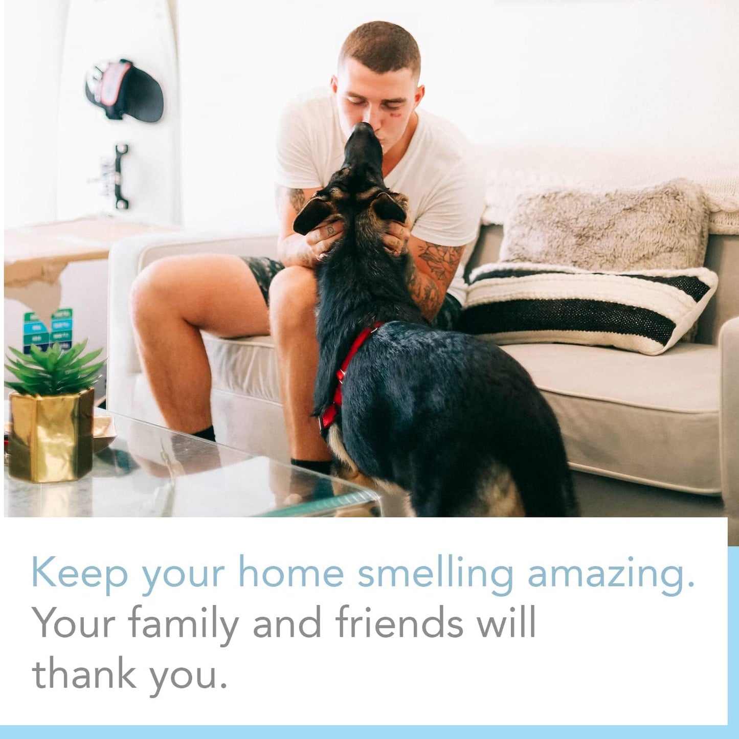 Expressive Scent – Home Fragrance Aromatic Sachets: Premium Long-Lasting Aroma, for Drawers Dressers Closets Car Kitchen, Pomegranate