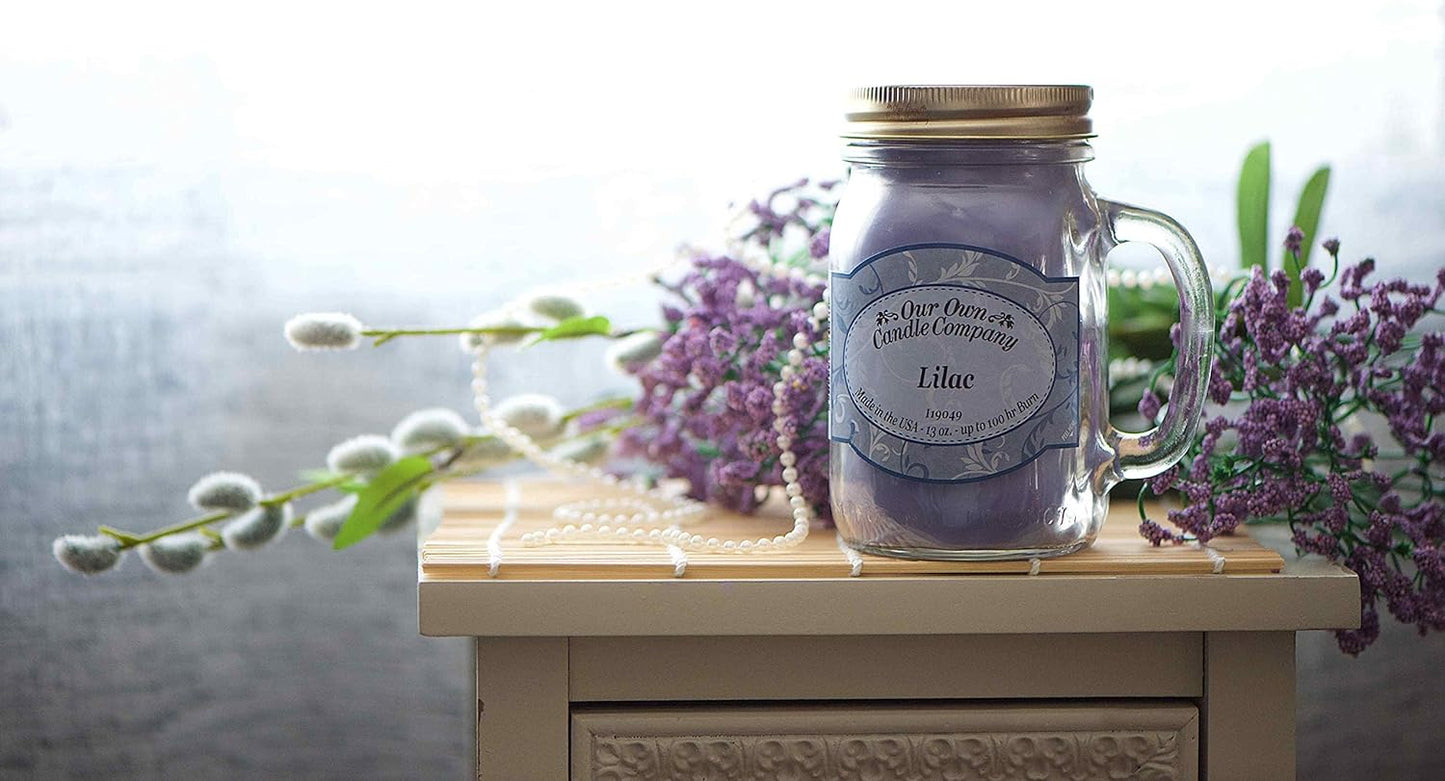 Our Own Candle Company Premium Wax Melt, Black Raspberry Vanilla, 6 Cubes, 2.4 oz (4 Pack)